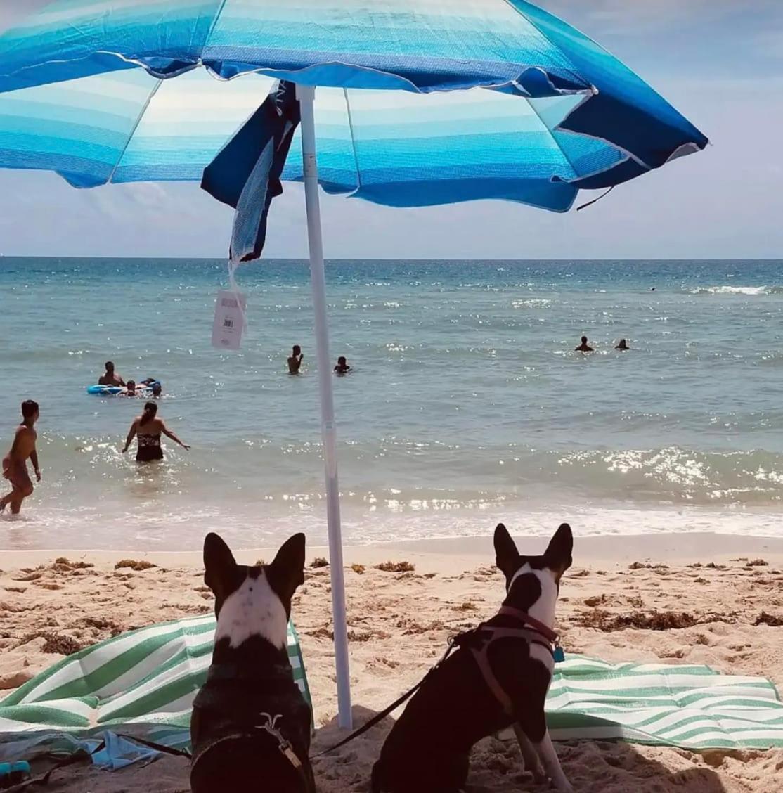 North Beach Steps To Sea Miami Apartment With Free Parking Family And Pet Friendly 마이애미 비치 외부 사진